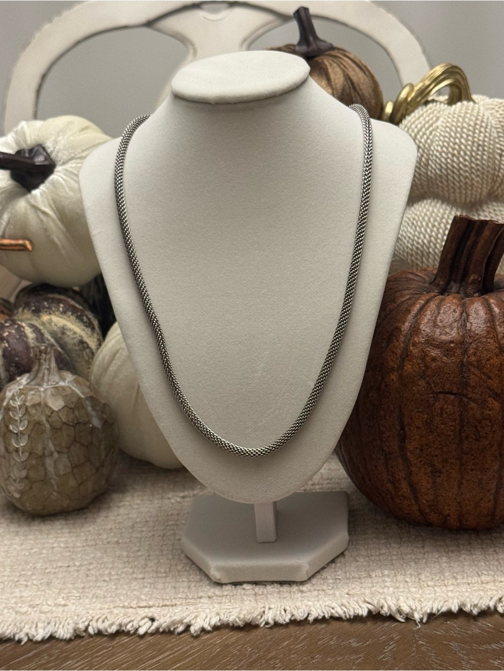 BRIGHTON Beverly Glam Silver Mesh Rope Necklace - Adjustable